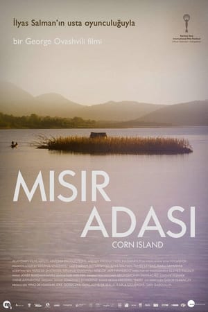 Poster Mısır Adası 2014