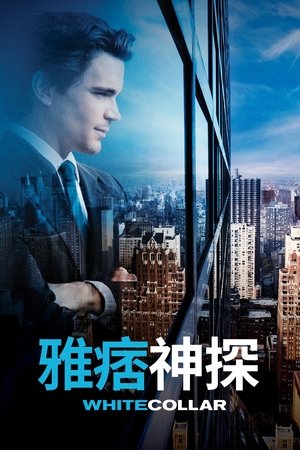 Poster 妙警贼探 2009