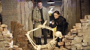 Bones