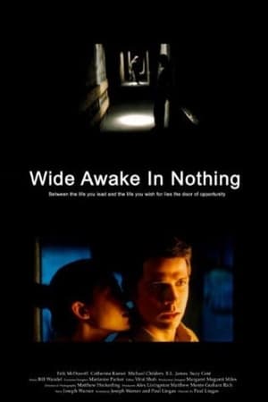 Poster Wide Awake in Nothing (2004)