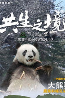 共生之境——大熊猫国家公园唐家河片区
