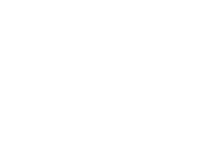 Lonesome Dove