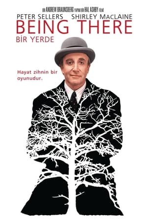 Bir Yerde 1979