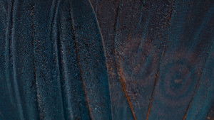 The Abnormal Beauty Company