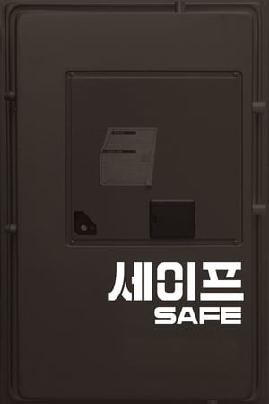 Poster Safe 2013
