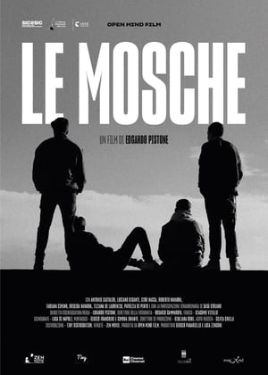 Image Le mosche