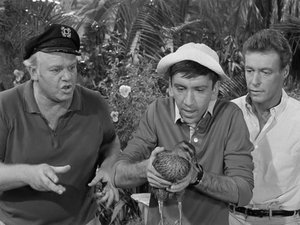 La isla de Gilligan: 1×7