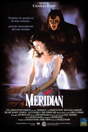 Poster Meridian 1990