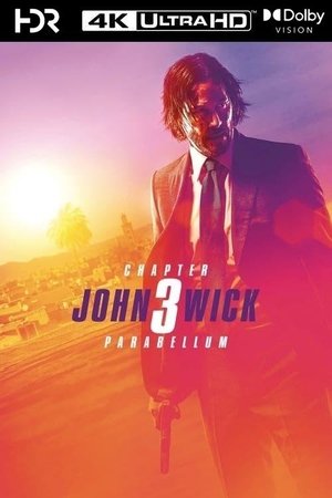 poster John Wick: Chapter 3 - Parabellum