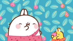 Molang To the Shelter