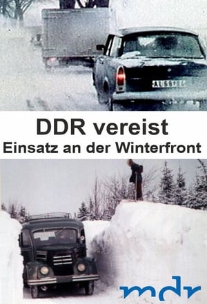 Poster DDR vereist - Einsatz an der Winterfront 2012