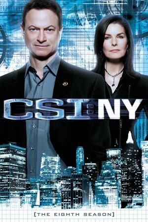 CSI: NY: Staffel 8