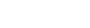 Bravest Warriors