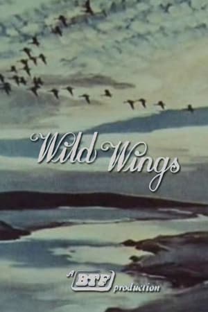 Poster Wild Wings 1965