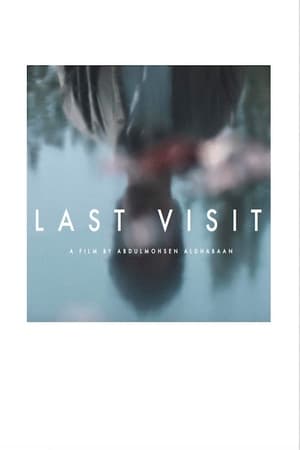 Poster Last Visit (2019)