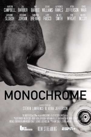 Poster di Monochrome