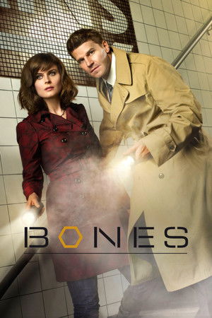 poster Bones