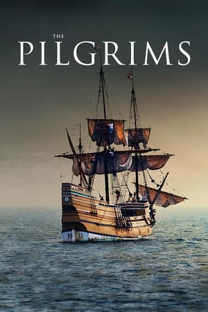 Poster The Pilgrims 2015