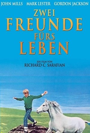 Poster Zwei Freunde fürs Leben 1969