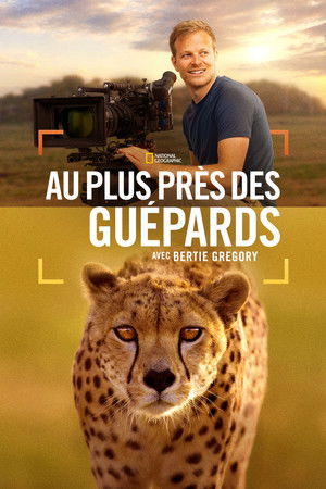 poster Cheetahs Up Close with Bertie Gregory