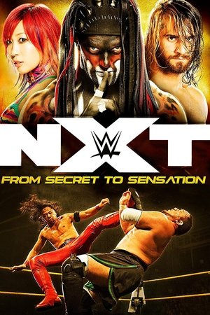 Poster NXT: From Secret To Sensation (2017)