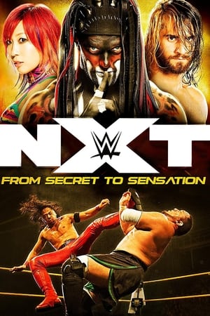 Image NXT: From Secret To Sensation