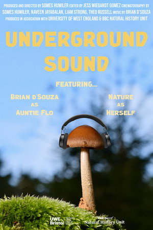 Underground Sound (2026)