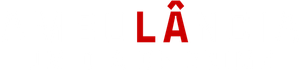 Ambulância: Um Dia de Crime