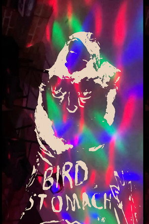 Bird Stomach 4