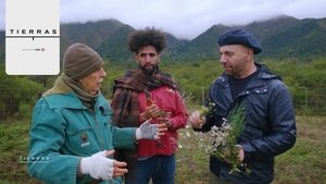 Episode 11