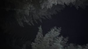 فيلم Last to Die 2025 مترجم