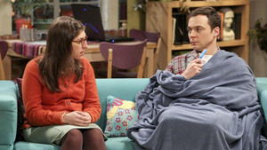 The Big Bang Theory: 10×20