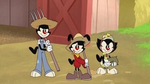 Animaniacs – T01E09 – Here Comes Treble/That’s Not the Issue/Future Brain/The Incredible Gnome in People’s Mouths [Sub. Español]