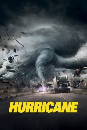 Poster Hurricane 2018