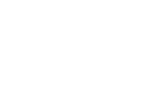 Red Flags — Logos 1