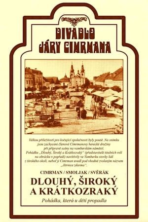 Poster Dlouhý, Široký a Krátkozraký 2007