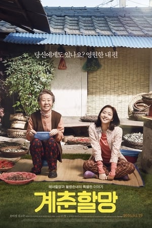 Poster 계춘할망 2016