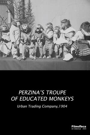 Image Perzina's Troupe of Educated Monkeys