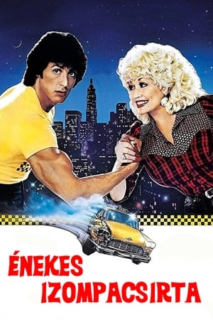 Poster Énekes izompacsirta 1984