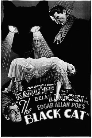 Постер фильма «Черный кот (1934)» — (15 из 25)