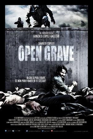 Image Open Grave