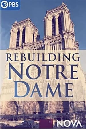 Rebuilding Notre-Dame: The Next Chapter film complet