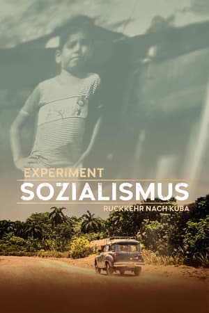 Poster Experiment Socialism (2020)