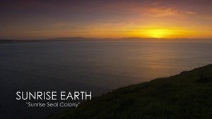 Sunrise Earth Sunrise Seal Colony