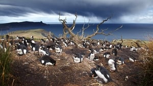 Patagonia: Earth's Secret Paradise Life on the Edge