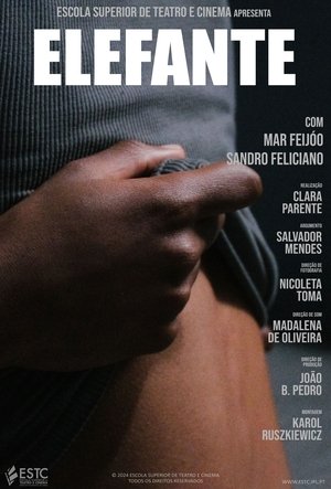 Elefante (1970)