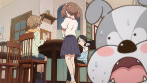 Uchitama! Have you seen my Tama?: 1×4