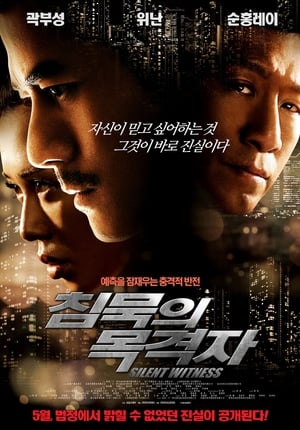 Poster 침묵의 목격자 2013