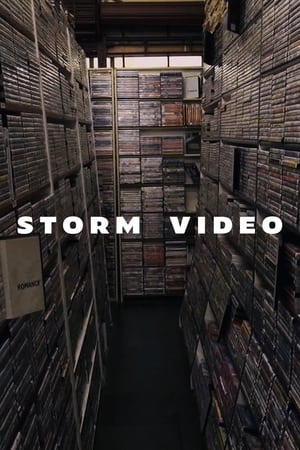 Poster Storm Video (2021)