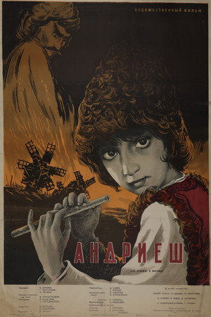 Andriesh 17